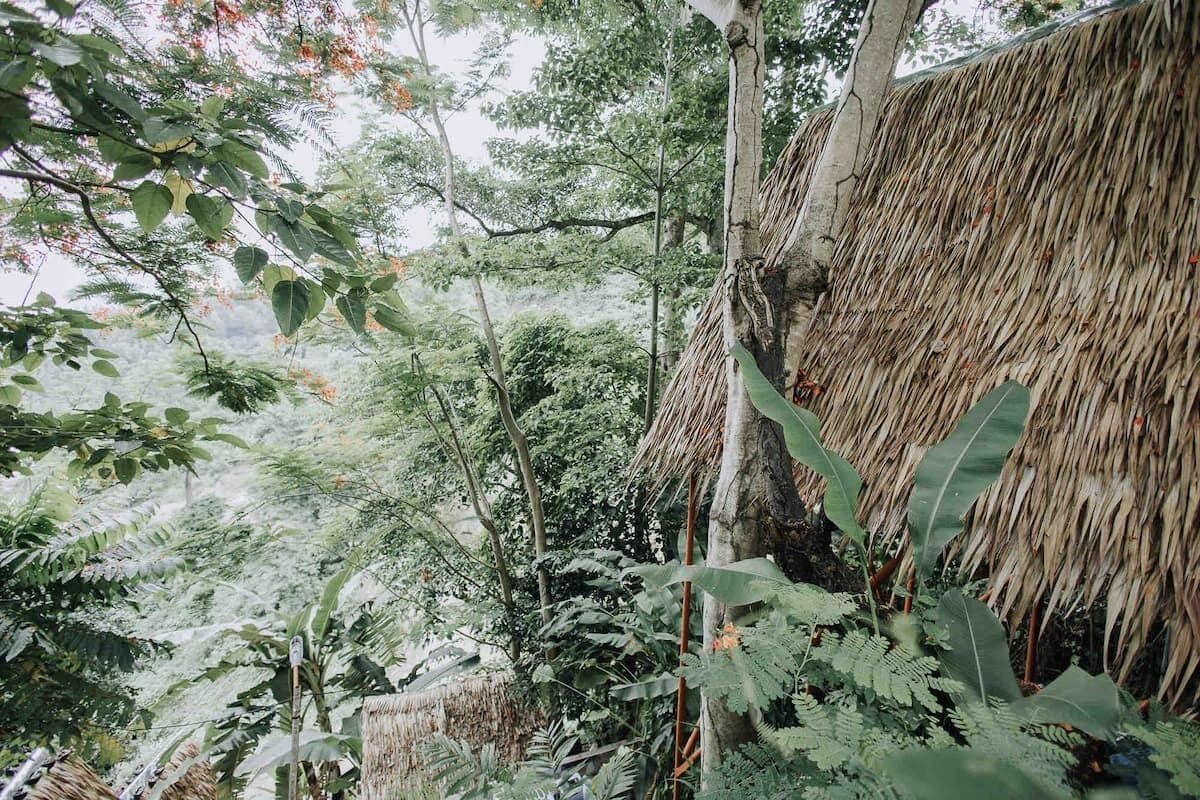 Un entorno tropical exuberante con follaje denso y una estructura de techo de paja.