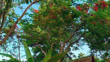A thatched-roof hut surrounded by lush greenery and trees with red flowers.