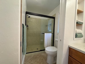 Ein Badezimmer mit Duschkabine, Toilette und weißem Waschbecken.
