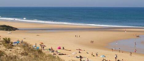 Playa