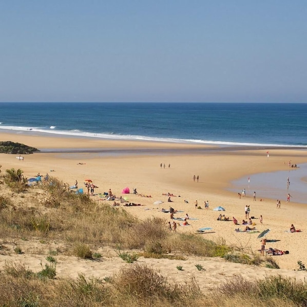 Beach - The Nasses Vacation Rental - SAINT JULIEN EN BORN (SAINT JULIEN EN BORN)