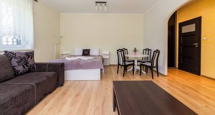 Rzepeckiej Comfort Apartment