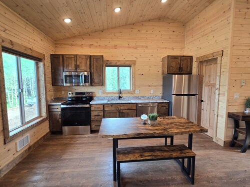 New luxury one room cabin w/ 2 Queen beds, kitchen, washer/dryer in Island Park