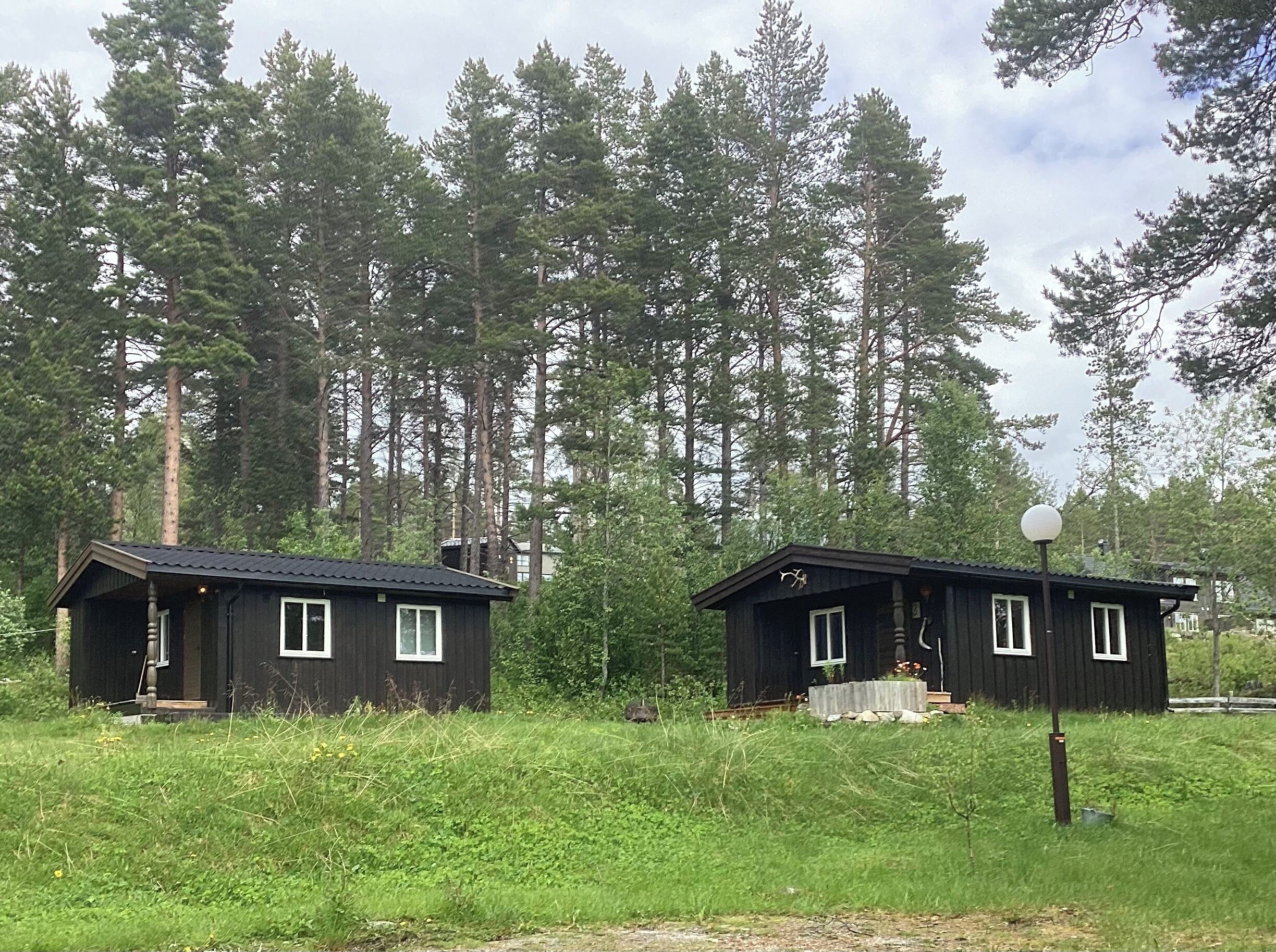 Two cabins in a forest with a clear sky.