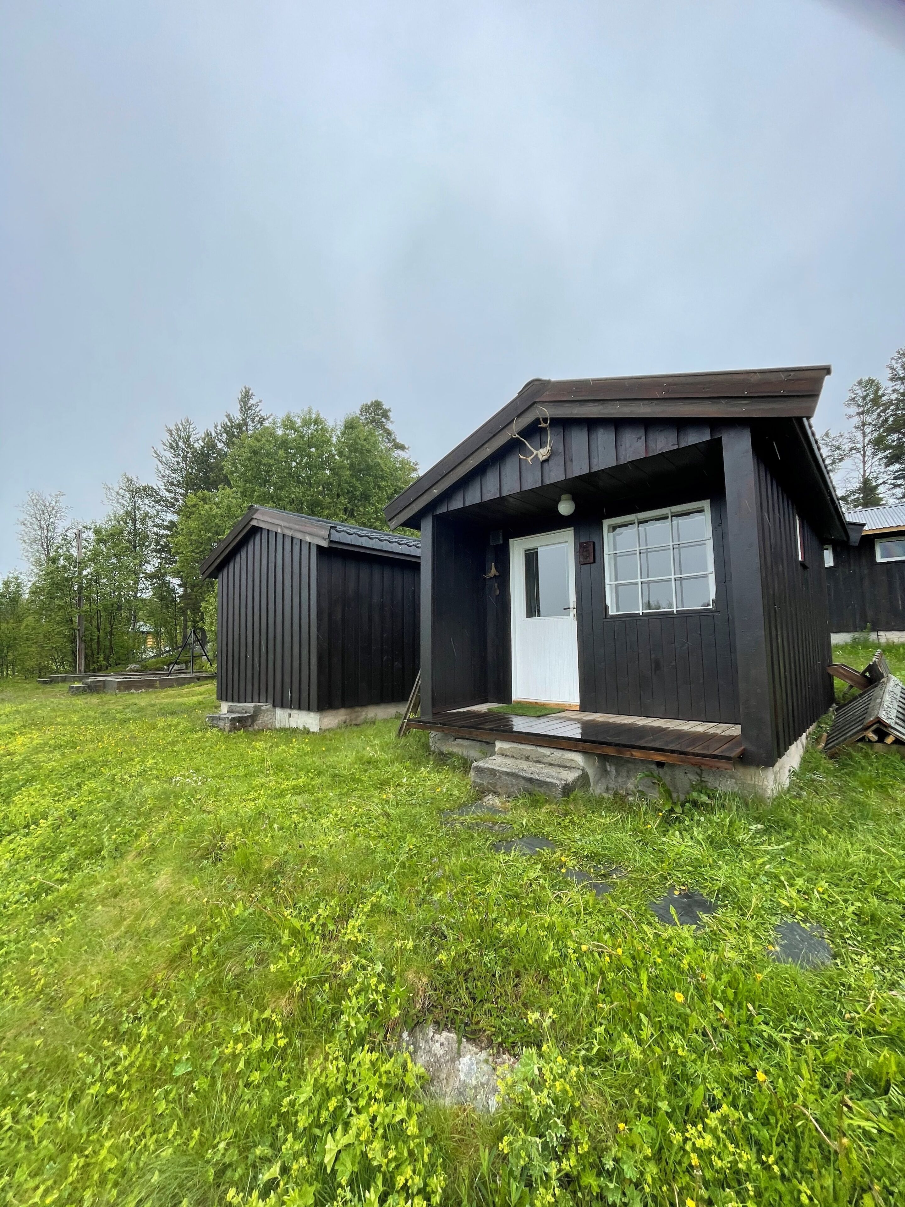 Basic Cabin, Mountain View | Exterior