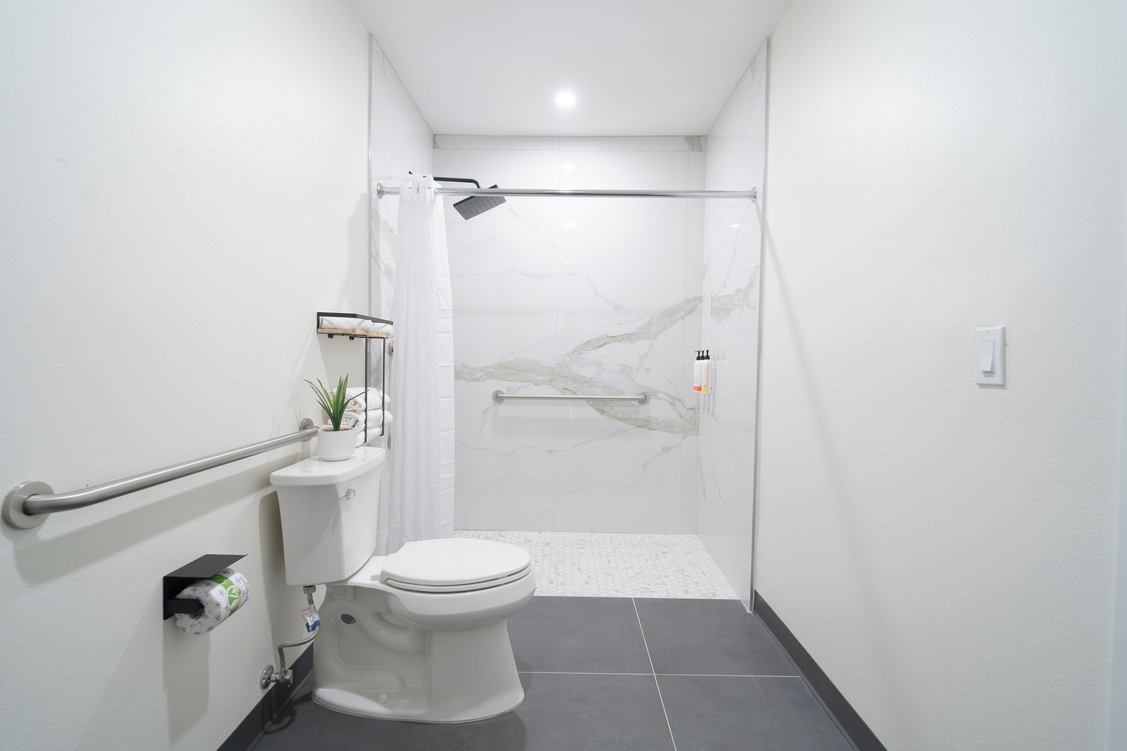 Ein modernes Badezimmer mit Toilette, Dusche und einer Haltestange.