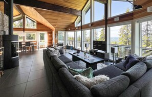 Smart-TV, Kamin