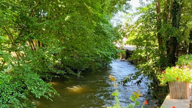A river flowing through a lush, green area with dense foliage on both sides. - 4-guest Elegant Holiday Base in Hotton (Hotton)
