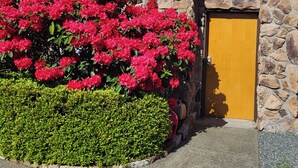 Un edificio con base de piedra, una puerta amarilla y un seto de flores rojas.