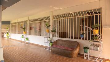 A spacious room with a wooden floor, a wicker sofa, and multiple potted plants.