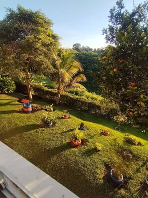 Property grounds - El Amanecer Farm Hotel (Quimbaya)