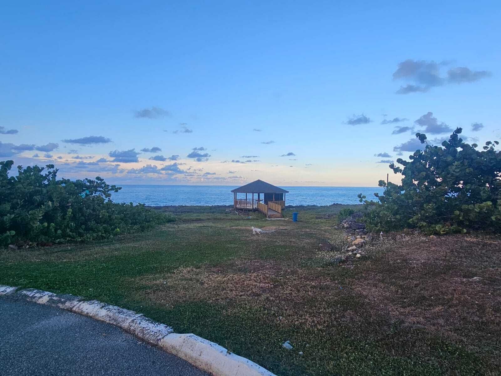 A gazebo near a body of water, surrounded by greenery.