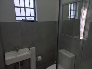 A bathroom with a sink, toilet, and a shower enclosure.