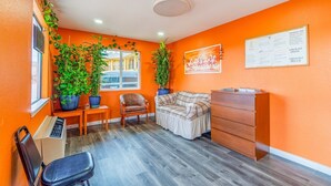 Ein Zimmer mit orangefarbenen Wänden, Holzboden, einer Couch, einem Sessel, einem Schreibtisch und zwei Blumentöpfen.