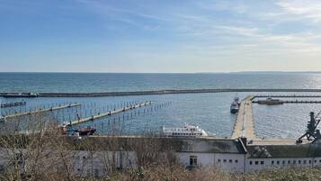 Blick auf die Küste mit einem Steg, der ins Meer führt, ein Boot an Deck und ein Gebäude mit Gründach im Vordergrund.