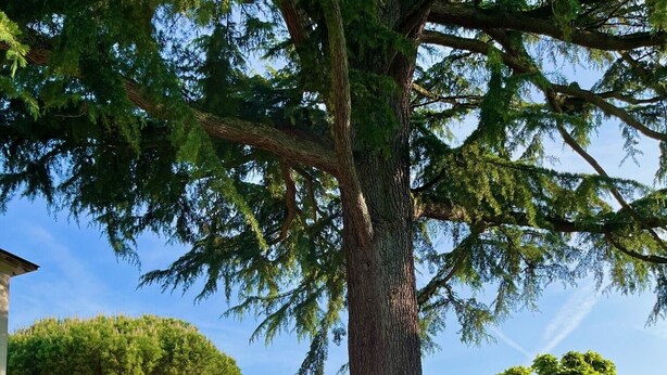 Property grounds - Family home in the Loire Valley (Blois)