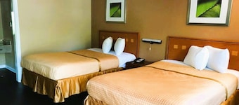 Deluxe 2 Full Beds Non Smoking