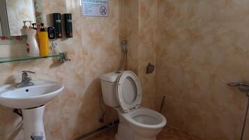 A bathroom with a toilet, bidet, sink, and hygiene products on the wall.