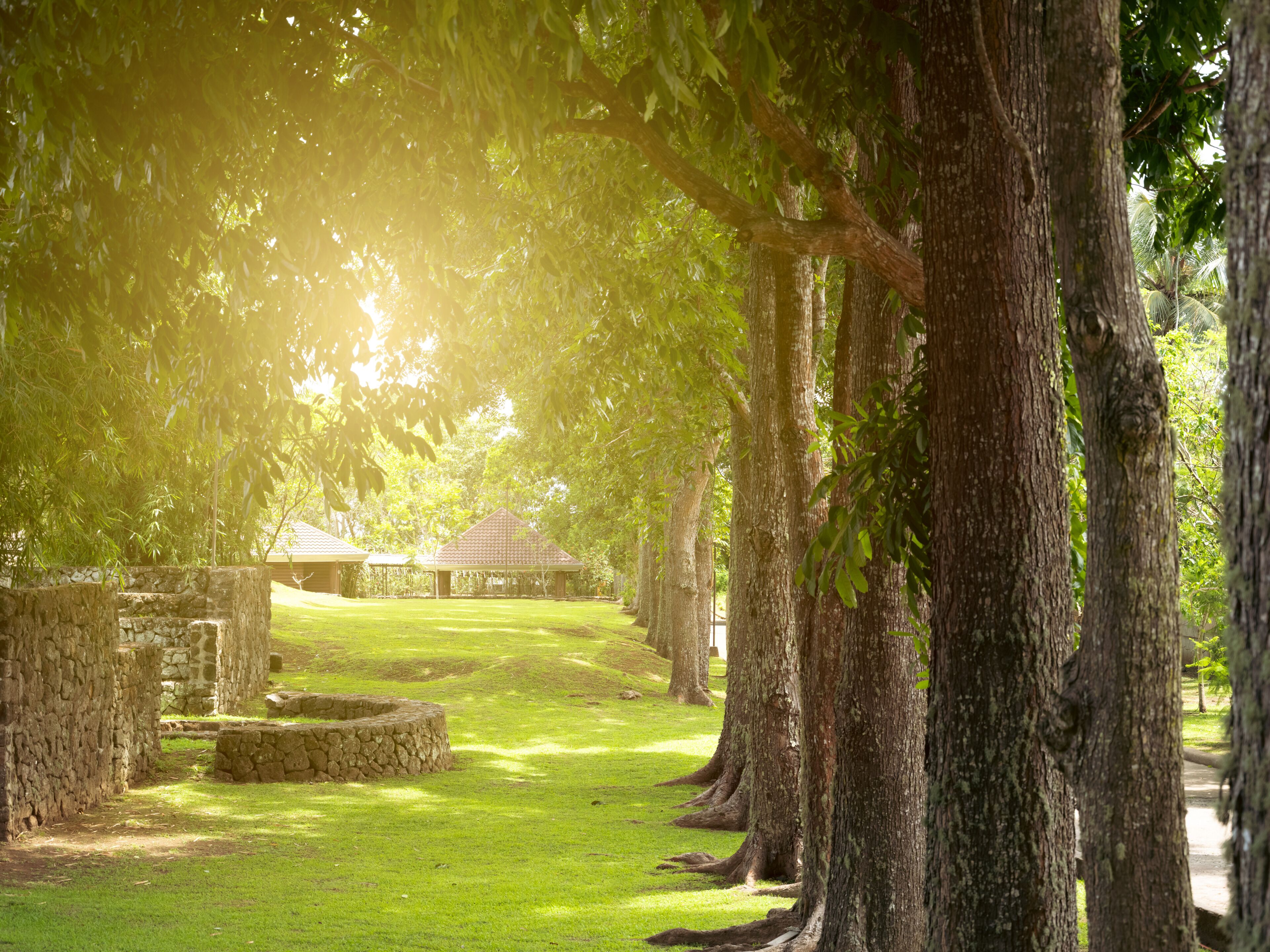 A pathway lined with trees leading to a stone structure and a building with a tiled roof.