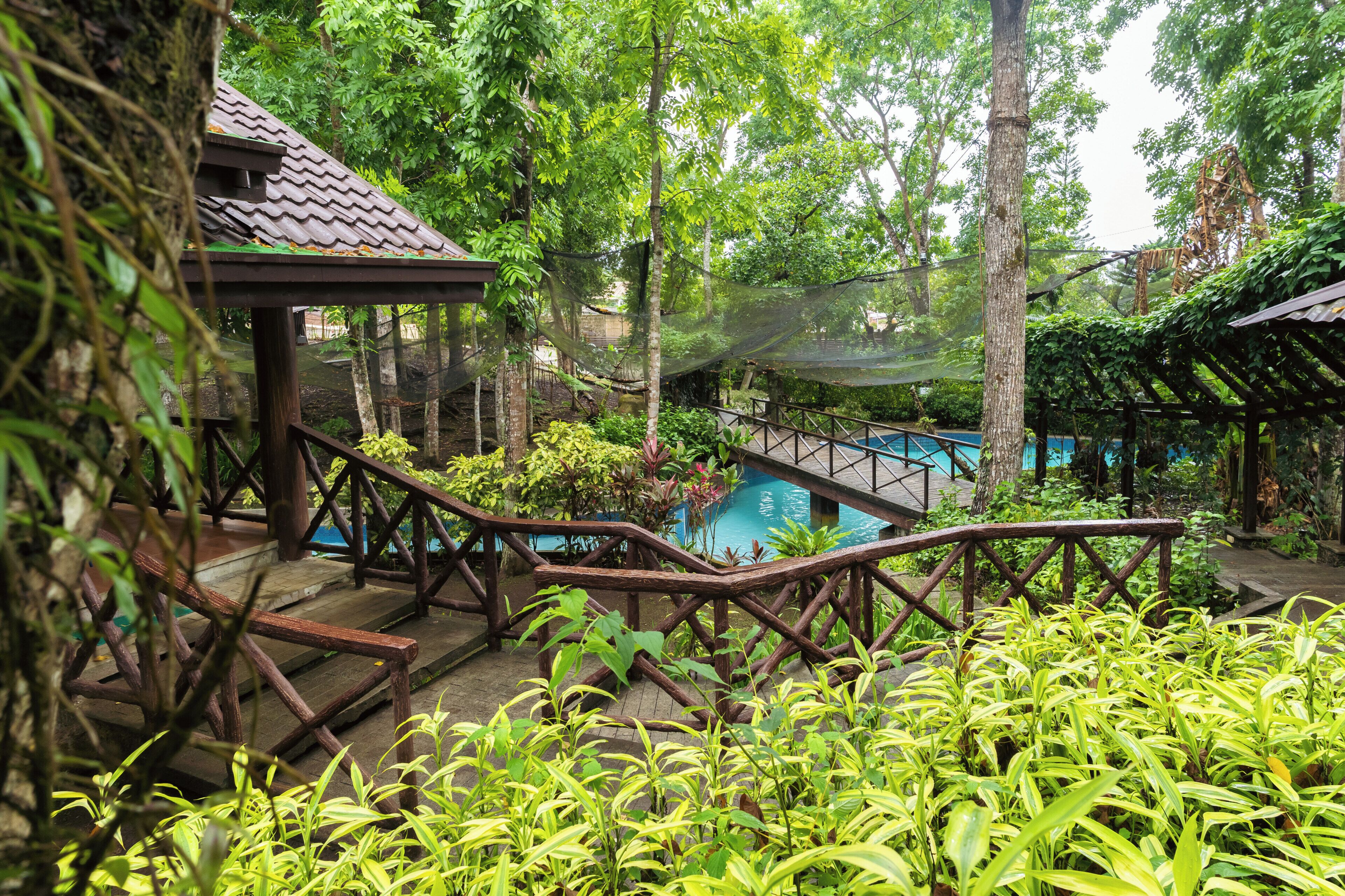 A wooden bridge over a pool with lush greenery and a gazebo in the background.