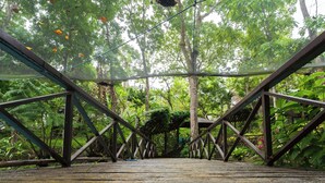 A wooden bridge with a metal framework, surrounded by dense green foliage. - The Glens Tagaytay (Tagaytay)