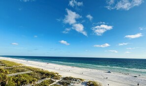 Ein Strand mit blauem Himmel und ruhiger See.
