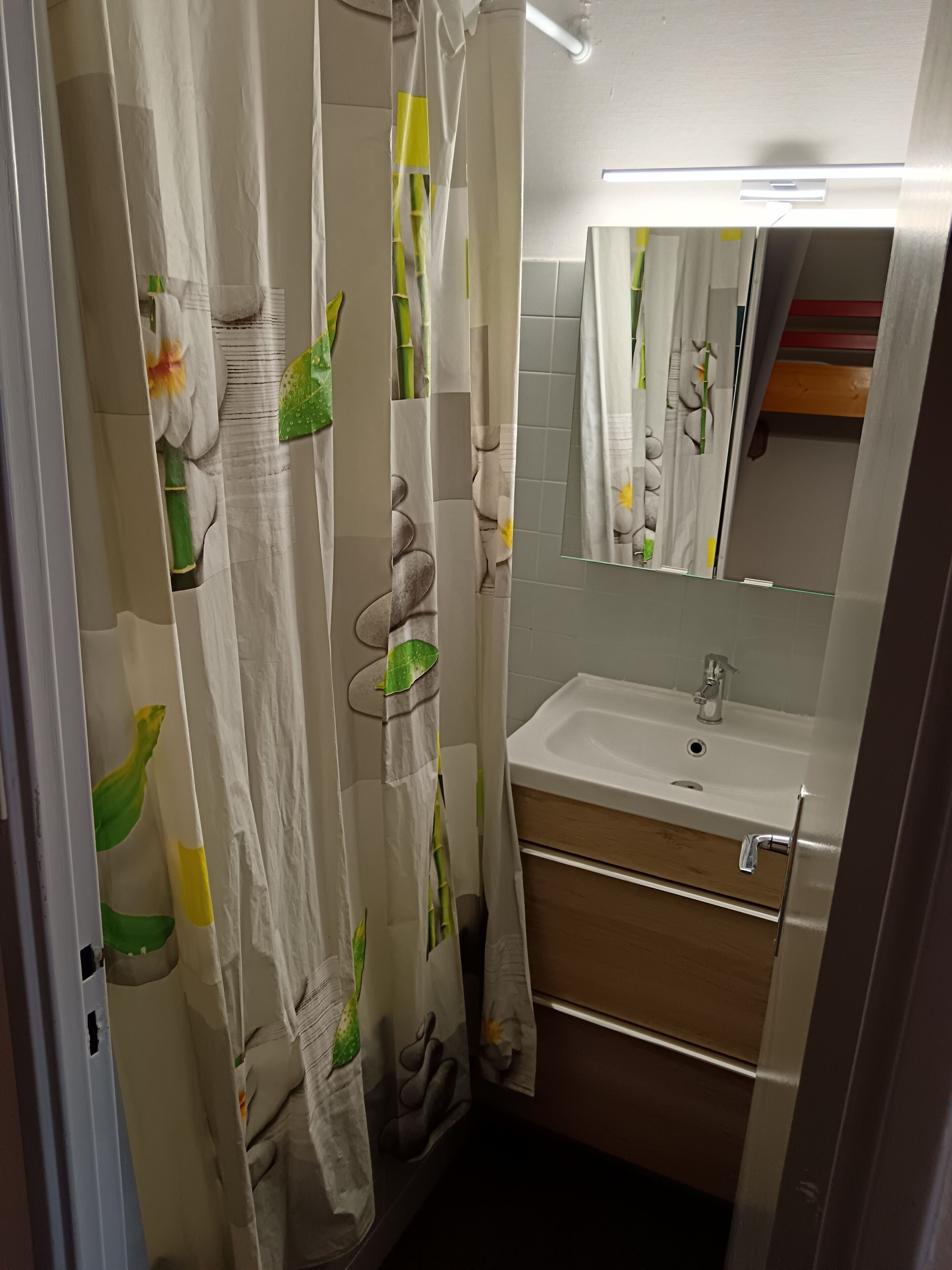 Une salle de bain avec un rideau de douche orné d’un motif naturel, un lavabo avec un miroir au-dessus et un meuble-lavabo en bois.