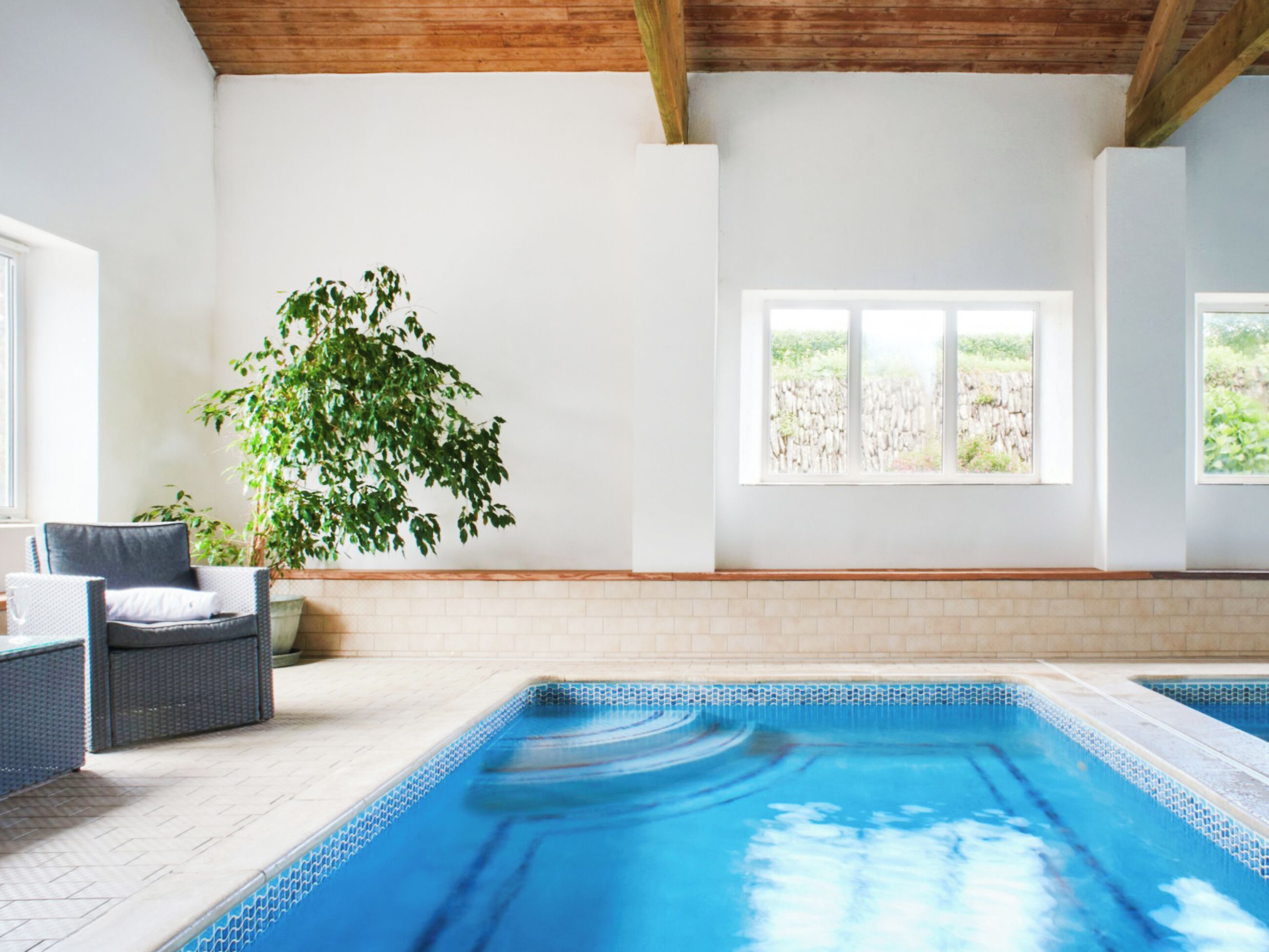 Ein Schwimmbecken mit gefliestem Rand, ein Korbstuhl, ein Blumentopf und ein Fenster mit Blick auf Grünflächen.