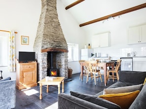 Fernseher, Kamin