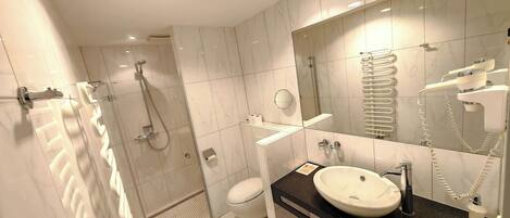 A modern bathroom with a walk-in shower, a toilet, a sink, and a mirror.