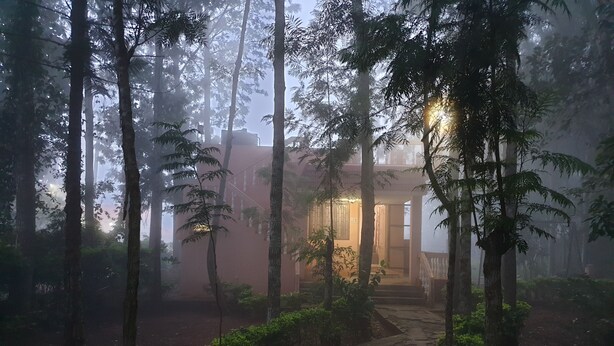 Un chemin menant à un bâtiment entouré d’arbres, dans un décor brumeux.