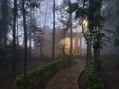 “The Cabin”