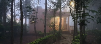 “The Cabin”