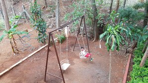 Une balançoire installée dans un jardin, avec un sol en terre, entourée de différentes plantes et arbres.