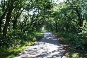 Miscellaneous - Hasecamer Bungalow 107 (Callantsoog)