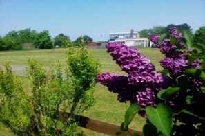 Property grounds - Hasecamer Bungalow 107 (Callantsoog)