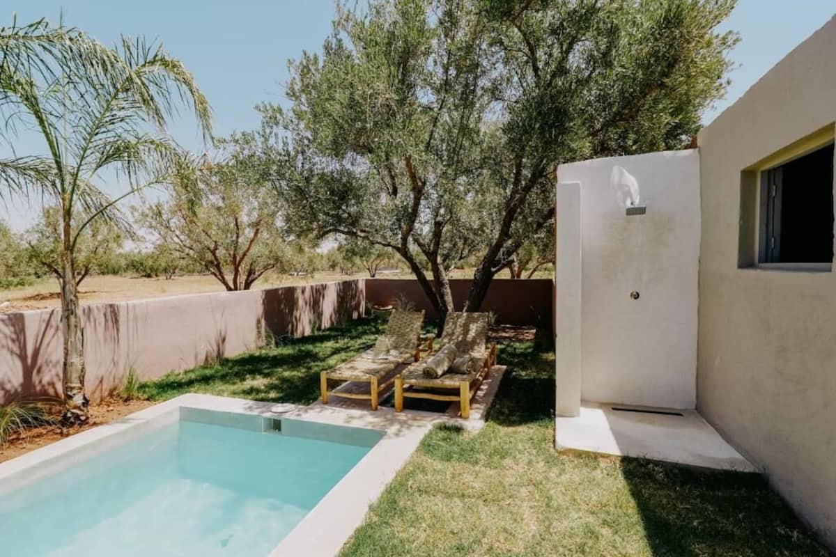A pool with lounge chairs, a white wall, and trees in a backyard setting.