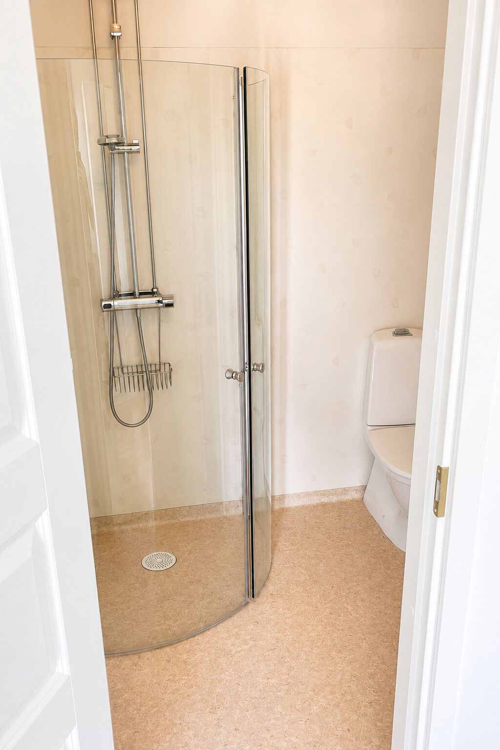 Een douchecabine met glazen wanden, een handdouche, een toilet en een witte deur.