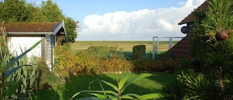Terrain de l’hébergement