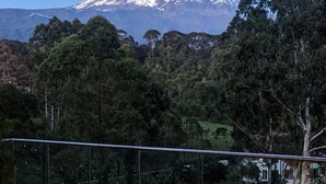 A mountain with snow-capped peak, dense green trees, and a clear sky.
