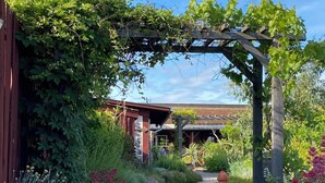 A gravel path leading to a rustic building with a wooden pergola covered in greenery.