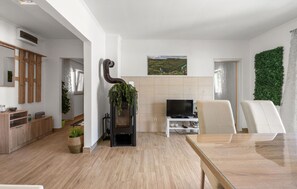 A modern living room with a fireplace, a television, and a dining area. - Gorgeous home in Razvode (Razvode)