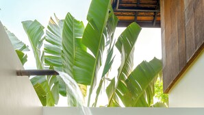 A bathroom with a shower, a towel, and a view of banana leaves. - Beautiful Khmer house with pool at the edge of the Angkor conservation zone (ក្រុងសៀមរាប)