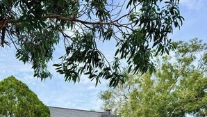 Exterior - Cozy Apt, King Bed + Huge TV, Near TPA & Stadium (Tampa)