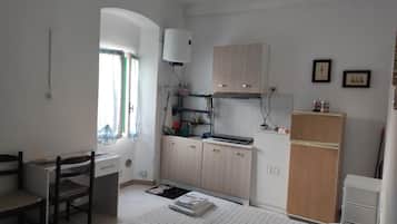 Fridge, stovetop, cookware/dishes/utensils, spices