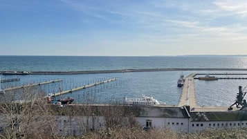 Blick auf die Küste mit einem Steg, der ins Wasser führt, einem Boot am Ende des Stegs und einem Gebäude mit einem kleinen Fenster.