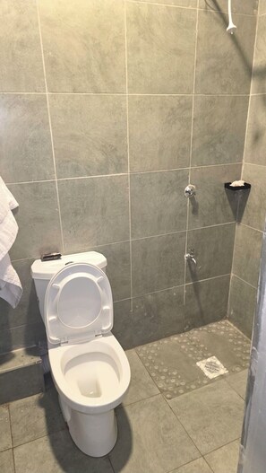 Ducha, toallas, jabón y papel higiénico