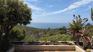 Ein Garten mit Kakteen und Blick auf das Meer.