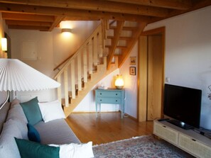 Fernseher