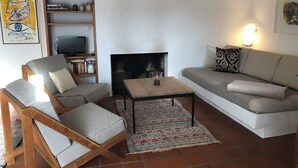 Un salon comprenant un canapé, un fauteuil, une table basse, une cheminée, une bibliothèque et un téléviseur.